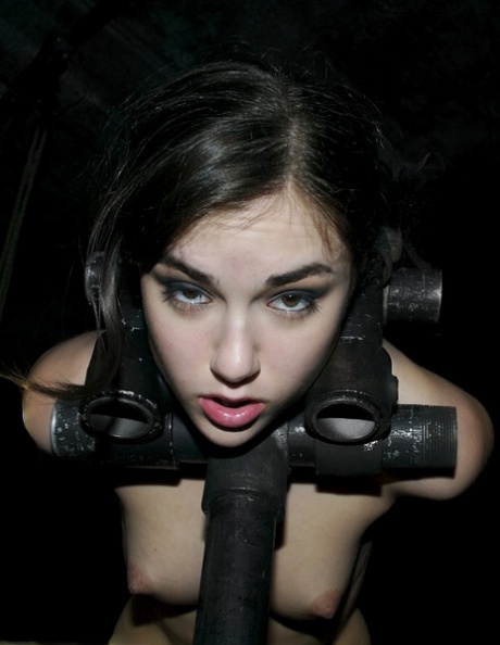 Sasha Grey star du sexe image