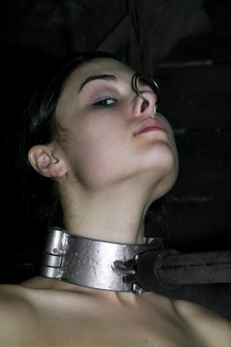 Sasha Grey actrice artistique image